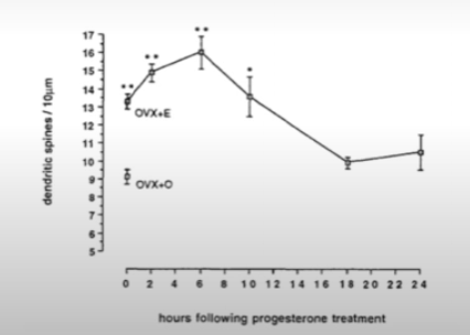 <p>Estrogen increases dendritic spines. Giving progesterone on top of estrogen increases dendritic spine density even further but then after a few hours it actually reversed that increase below even the starting point. This is called <strong><u>biphasic</u></strong> effect.</p><p>For example giivng RU486 (that blocks progesterone receptors) actually brings the level of dendritic spines back up (during rat’s estrus).</p>