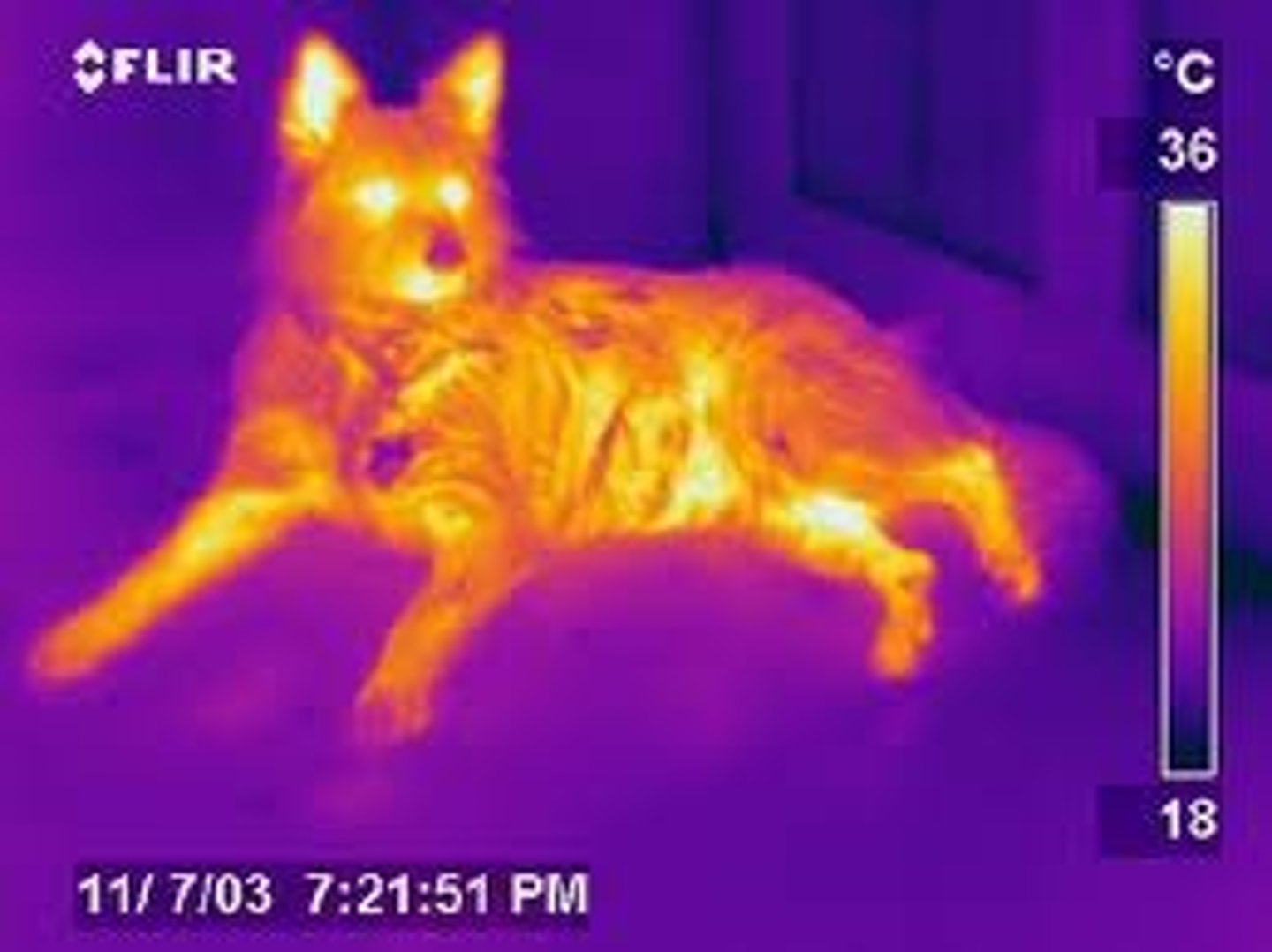 <p>Electromagnetic waves of frequencies lower than the red of visible light.</p>