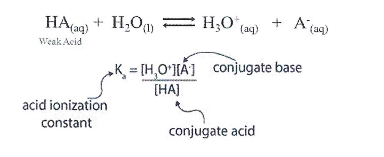 <p><strong>Ka</strong></p><p>A <strong>weak acid</strong> partially ionizes, donating protons in water. At <strong>equilibrium</strong>, there will be <strong>BOTH</strong> the <strong>weak acid</strong>, HA, and its <strong>conjugate base</strong>, A-, in the solution.</p>