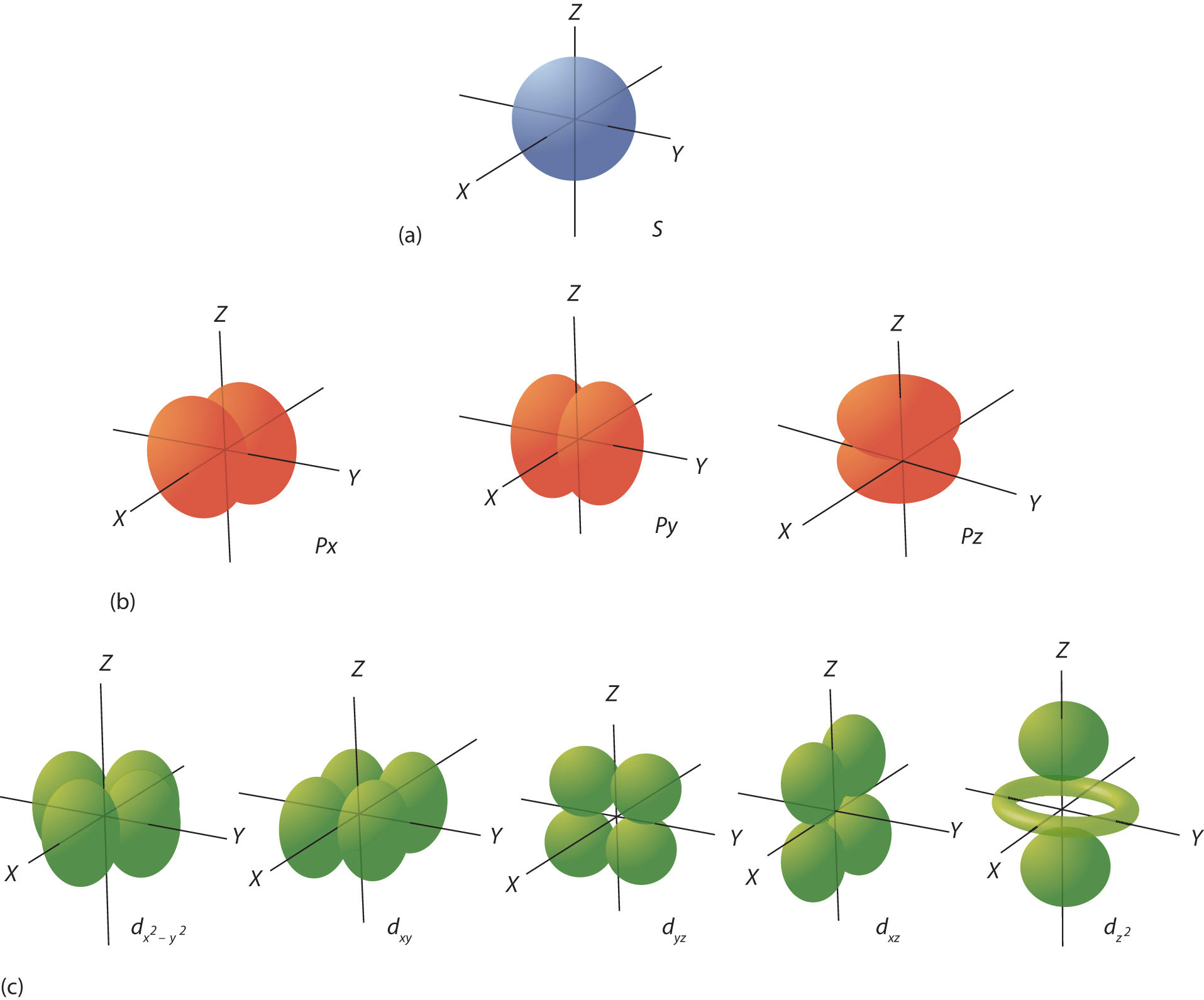 <p>The four different orbitals are s, p, d, and f. Each type of orbital has a distinct shape and energy level, influencing the distribution of electrons in an atom. </p><p>Each orbital has has an electron density where there is approximately a 95% chance to find an electron in that region.</p><p>S shell - 1 Orbital (2 Electrons)</p><p>P shell - 3 Orbitals (6 Electrons)</p><p>D shell - 5 Orbitals (10 Electrons)</p><p>F shell -  7 Orbitals (14 Electrons)</p><p>The different orbitals are in the image where you need to know the approximate shapes of s, p and d.</p>