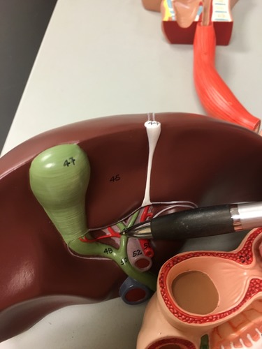 Where the pen is on