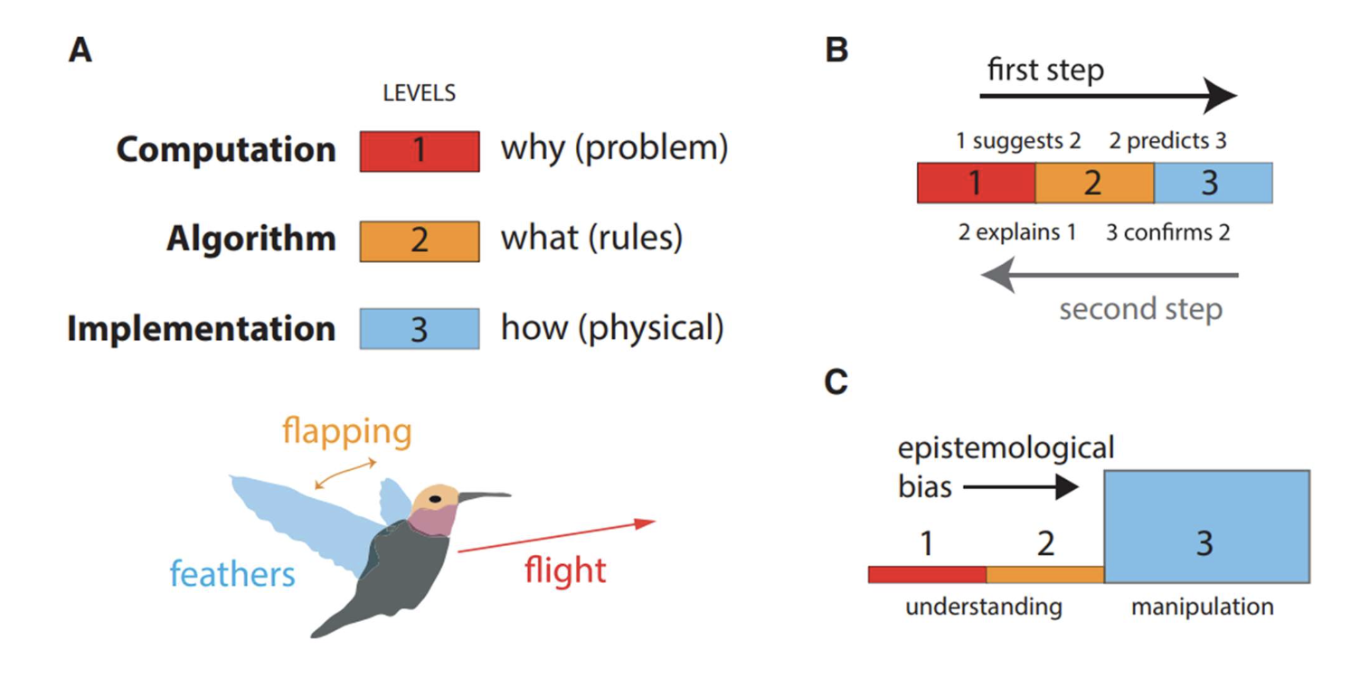 <p>computation (why), algorithm (what), implementation (how)</p>