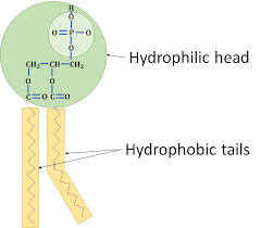 <p><strong>do not mix with water</strong></p>