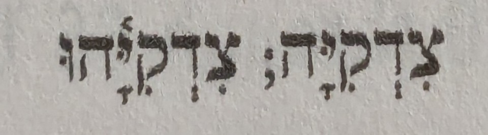 term image