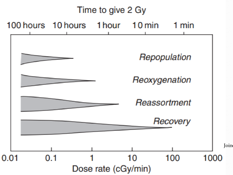 <p>what two phenomena are present at higher dose rates (taking less time to give 2 Gy)</p>