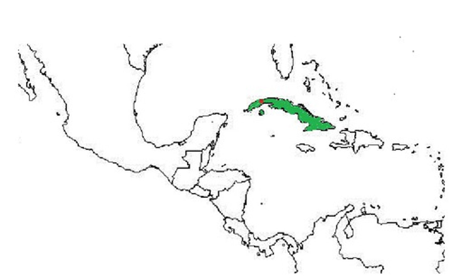 <p>capital of Cuba</p>