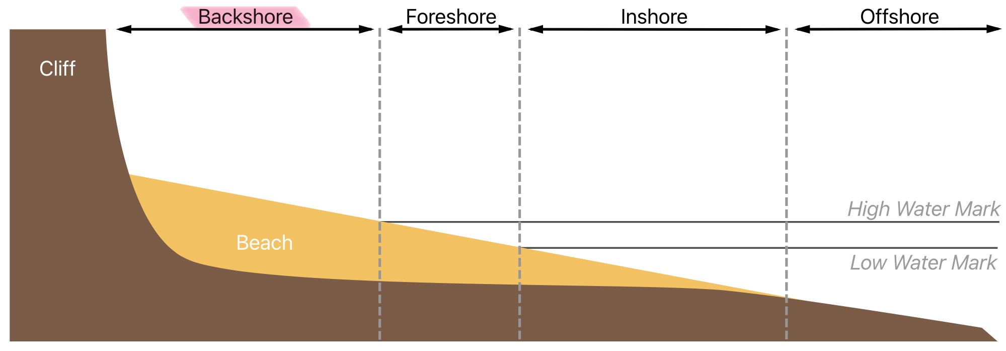 <p>What is the back shore of the littoral zone</p>