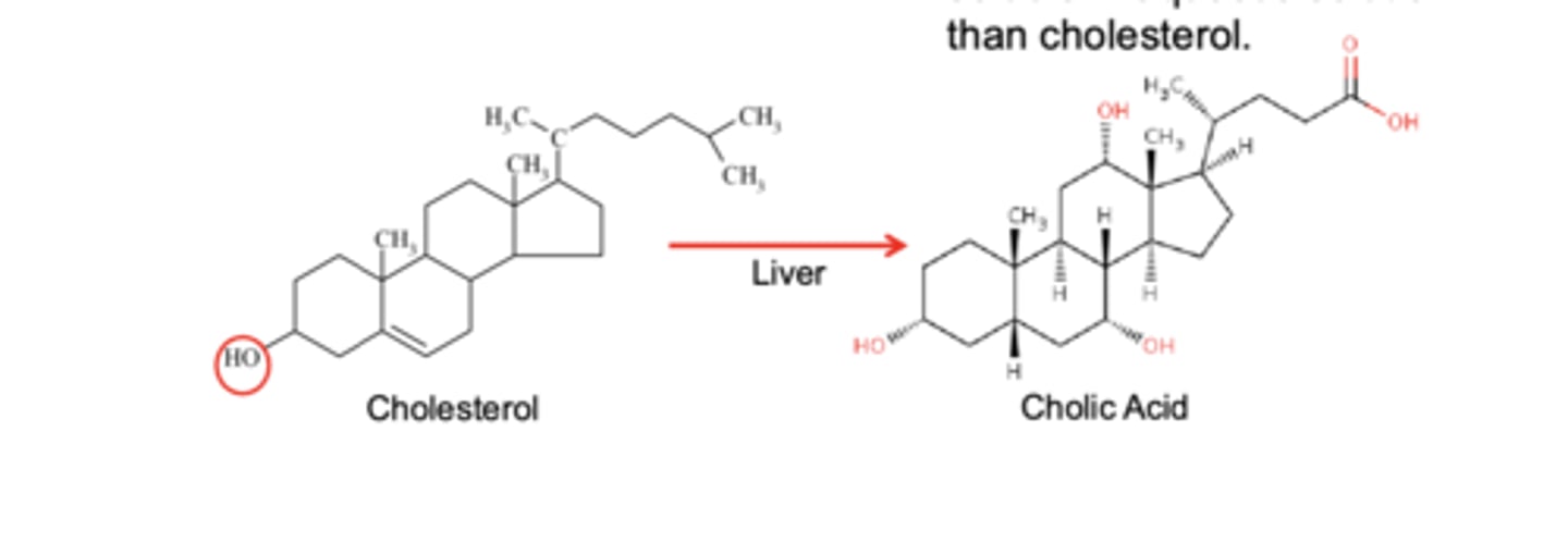 <p>cholic acid has 5 charged groups ==&gt; 7253x more aq soluble </p><p>*liver converts cholesterol into colic acid = bile salt</p>