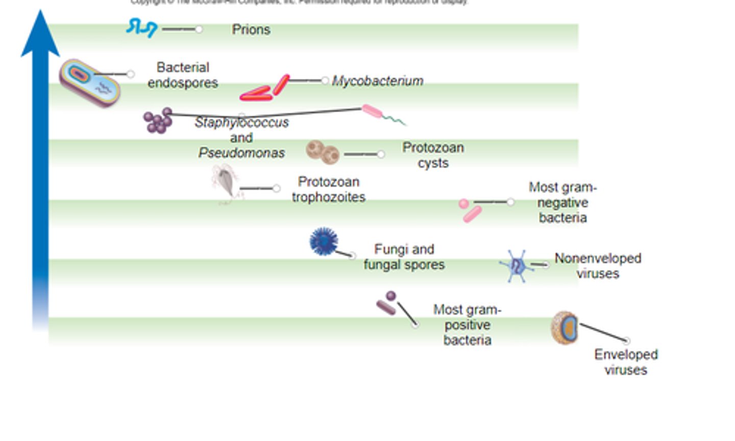 <p>endospores</p><p>mycobacterium</p><p>protozoan cysts</p><p>vegetative protozoa</p><p>gram neg bac</p><p>fungi</p><p>non enveloped viruses</p><p>gram pos bac</p><p>enveloped viruses</p>