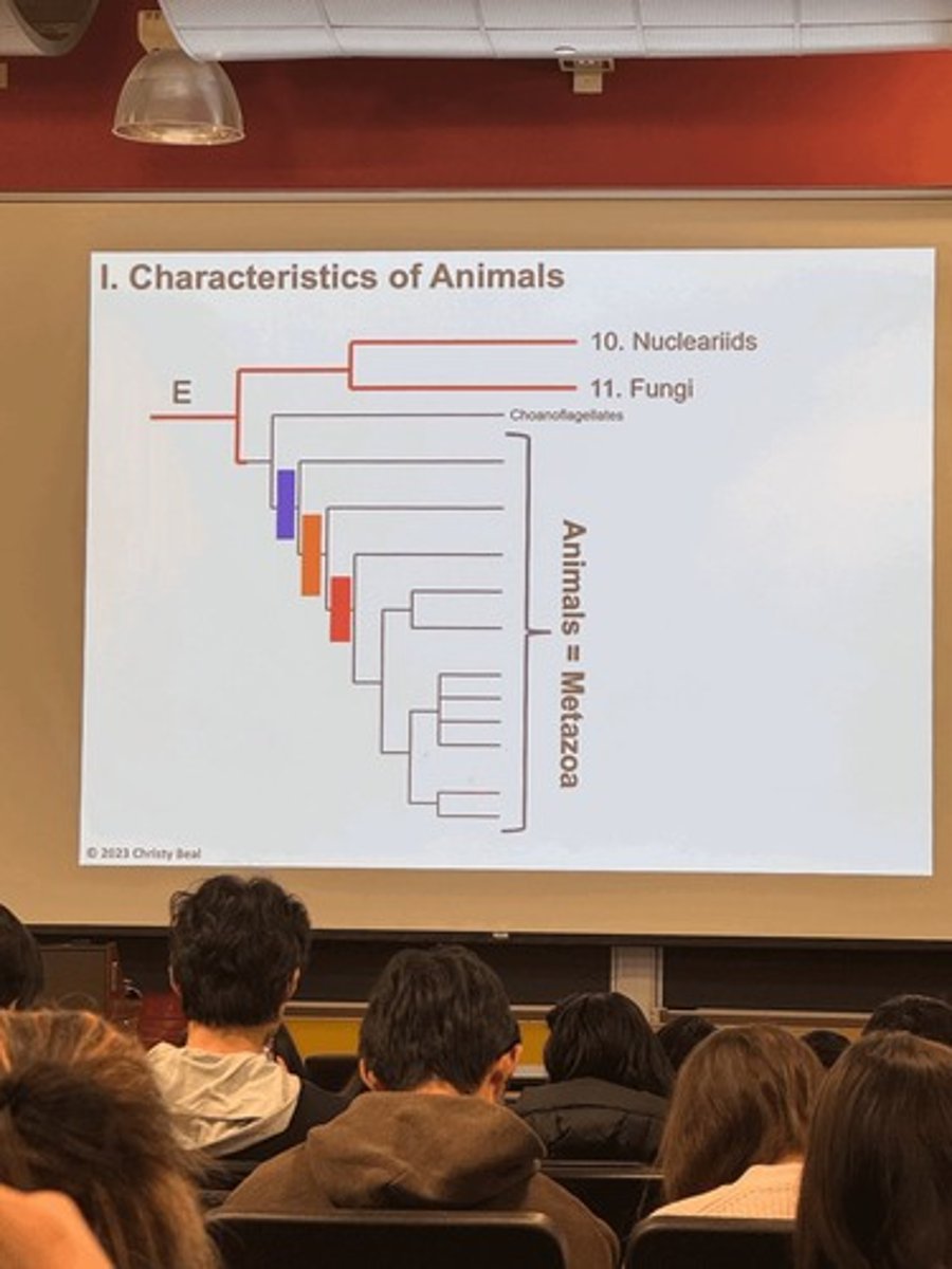 <p>Three types of diversity: Genetic, Species, Community and Ecosystem.</p>