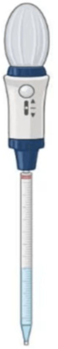 <p>identify</p>