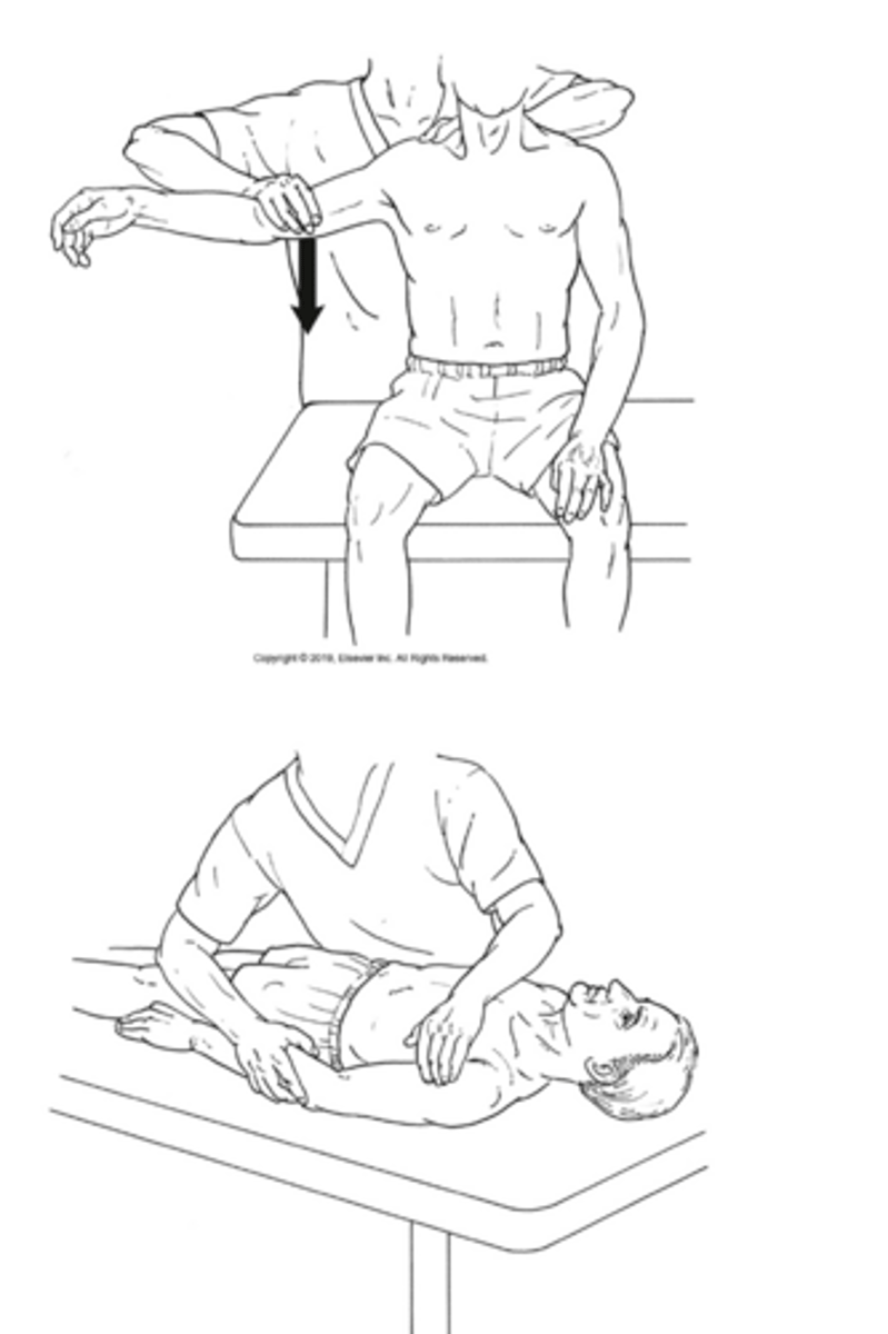<p>What is being tested in this image?</p>