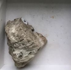<p>Sedimentary, smooth -translucent -white and grey -crystals are a conglomerate</p>