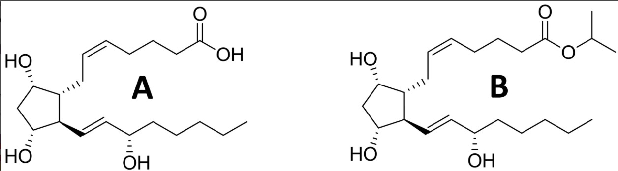 <p>which would have higher corneal permeability?</p>