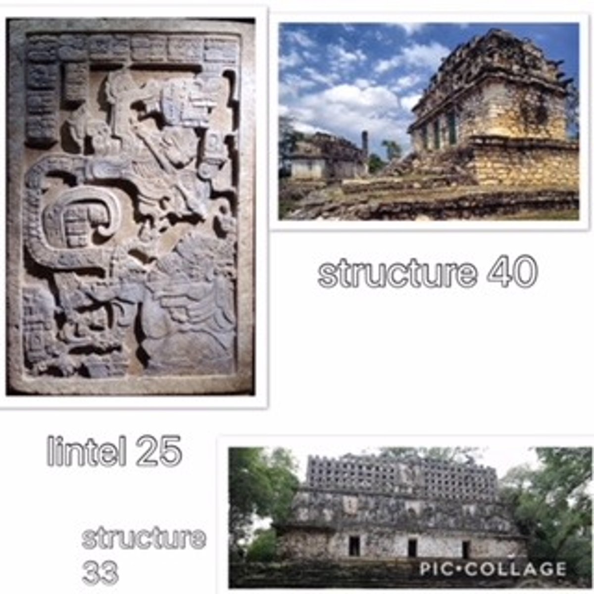 <p>Culture</p>