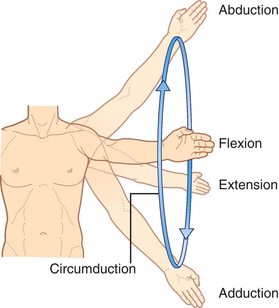 <p><strong>Definition of Prefix</strong></p><ul><li><p>c i r c u m d u c t i o n</p></li></ul><p>A. over<br>B. through<br>C. around<br>D. under</p>