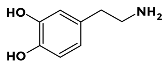 <p>what molecule is this?</p>