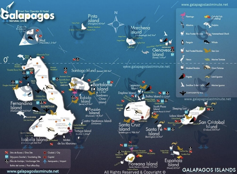 <p><span style="background-color: transparent;"><span>Galapagos Islands</span></span></p>