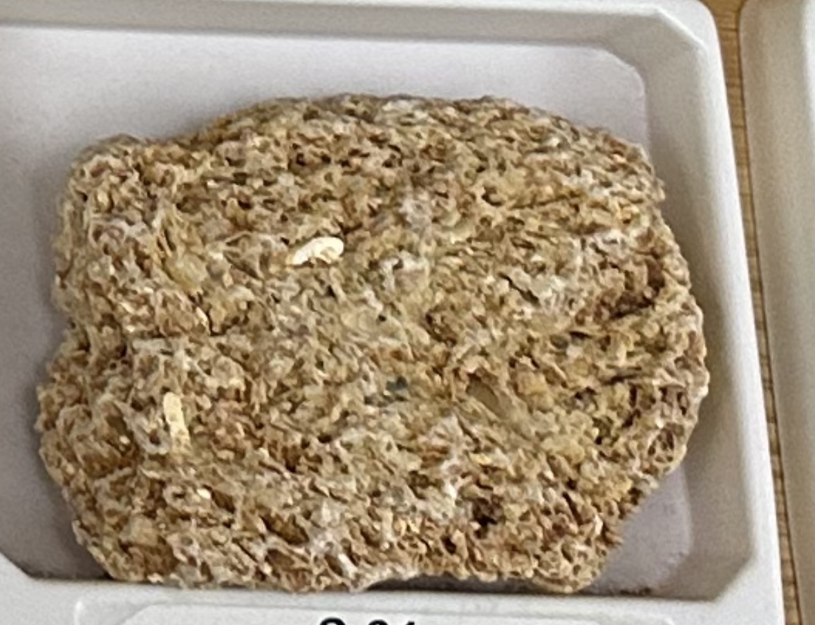 <p><strong><u>CHEMICAL/BIOCHEM</u></strong></p><p><strong>GRAIN:</strong></p><p>size— 1 - 4mm, shape— “chunky”, granola-like, sorting— poorly-sorted</p><p><strong>HCI: </strong>reaction</p><p><strong>CEMENT:</strong> calcite</p><p><strong>POROUS:</strong> yes</p><p><strong>MINERAL(S): </strong>calcium (shell fragments)</p><p><strong>ENVIRONMENT:</strong> marine (shallow reef)<br><strong>OTHER:</strong> looks like oats, made almost entirely of shell fragments</p>