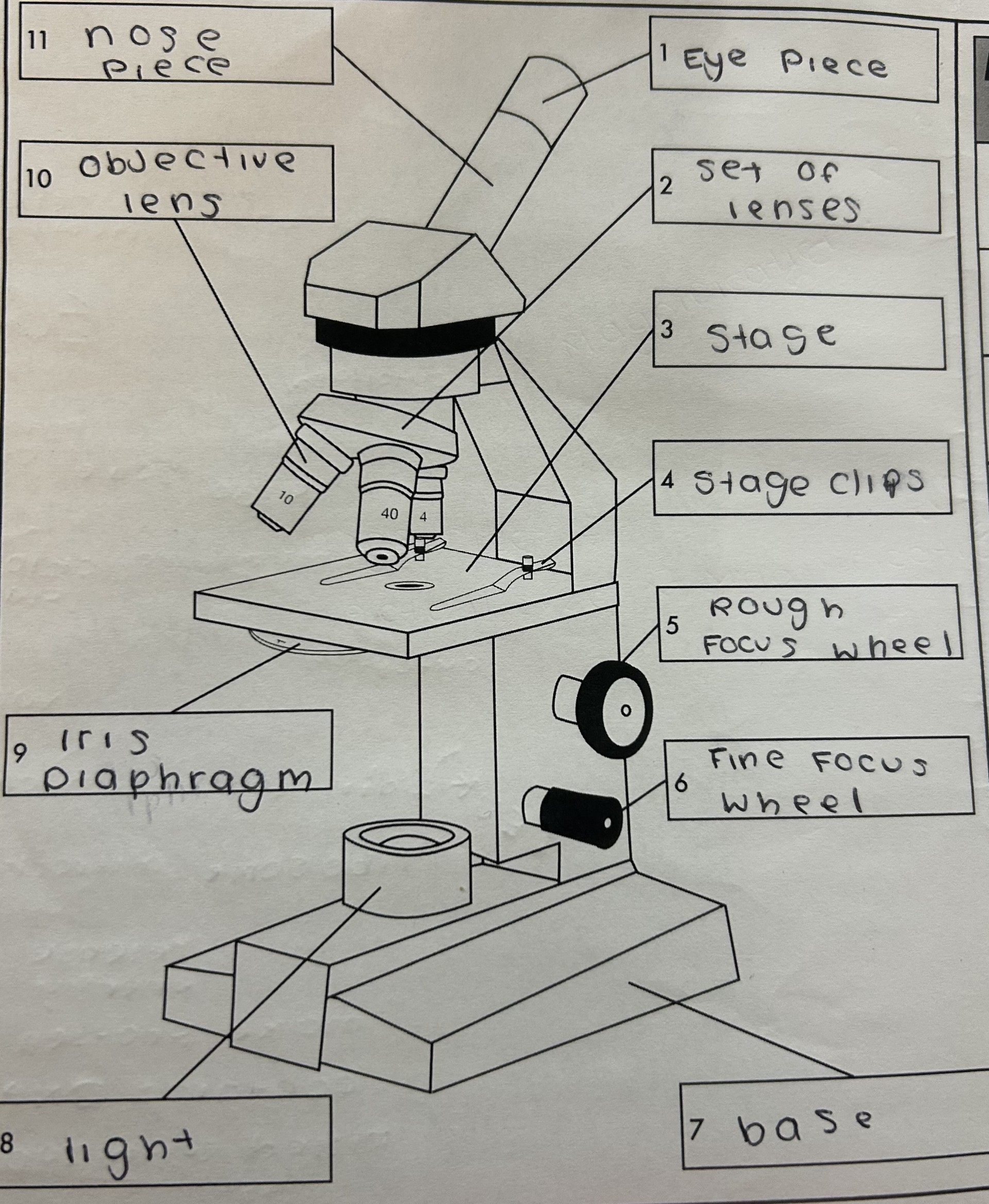 knowt flashcard image