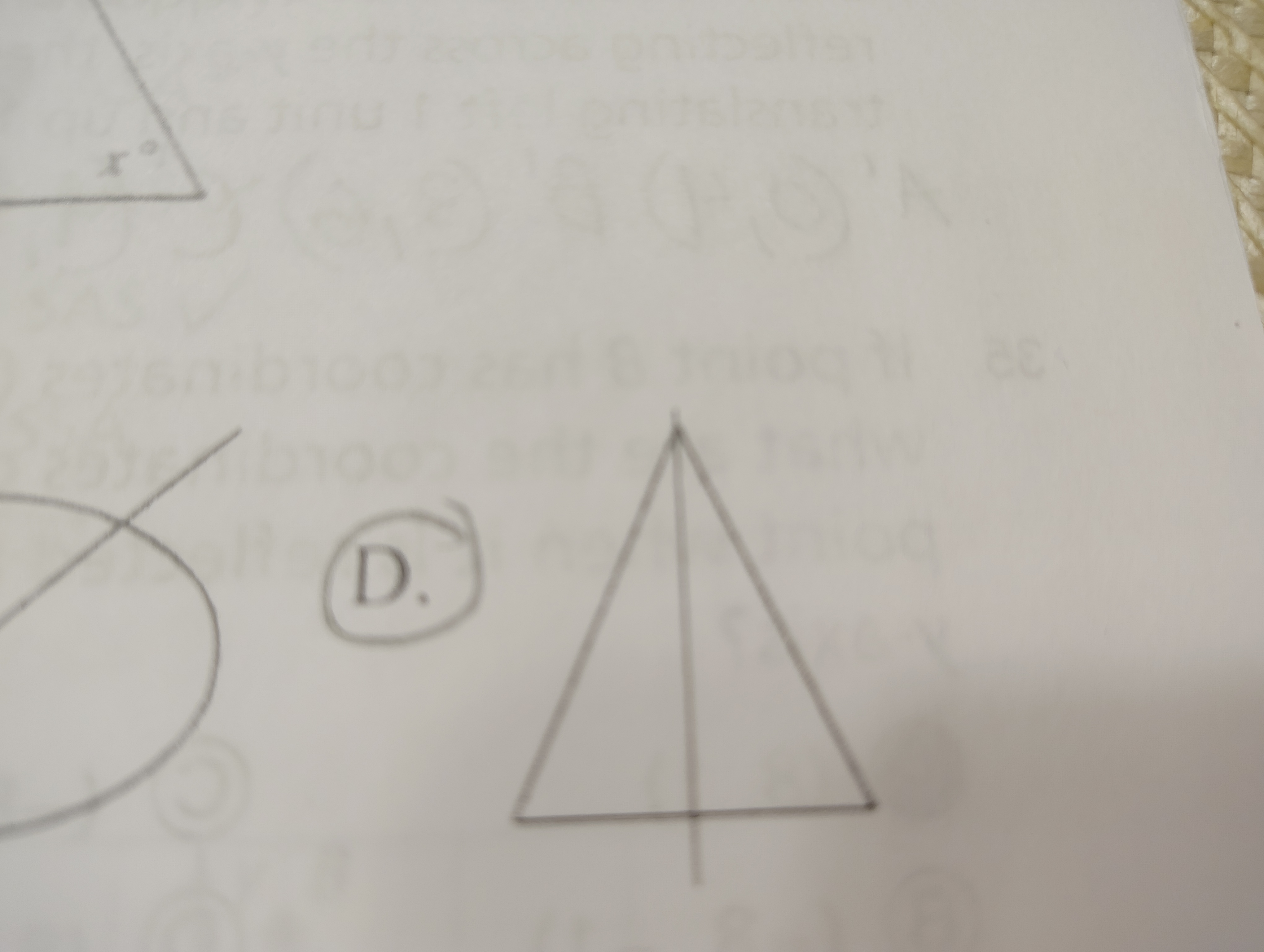 <p>The Triangle </p>