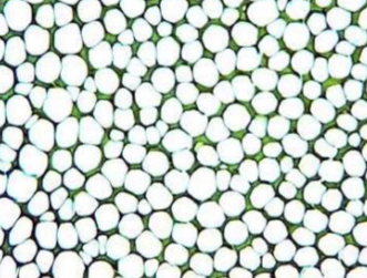 <p>Hemicellulose and ligning in angles between cells</p>