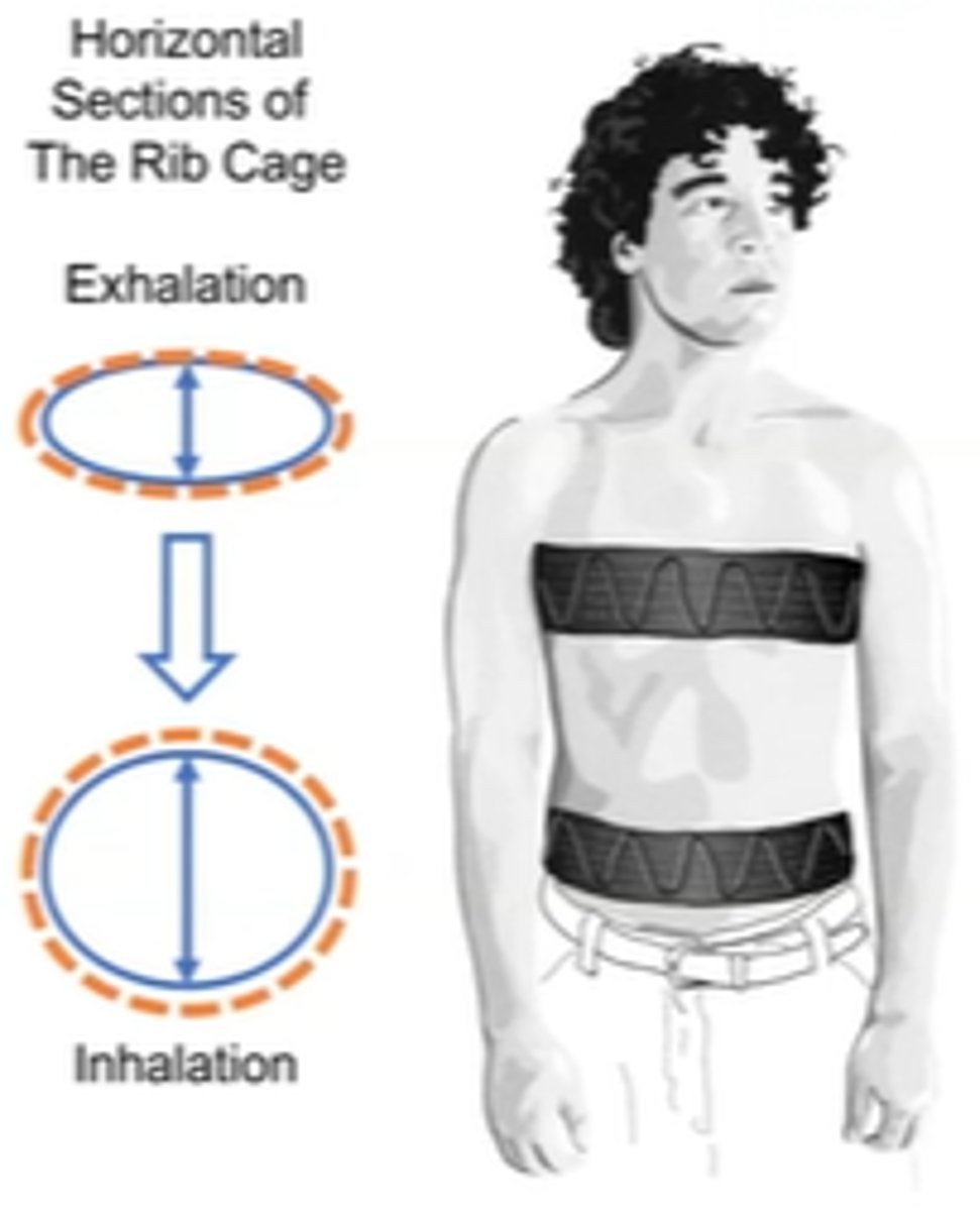 <p>Respiratory Induced PlethysmographyRespiratory</p>