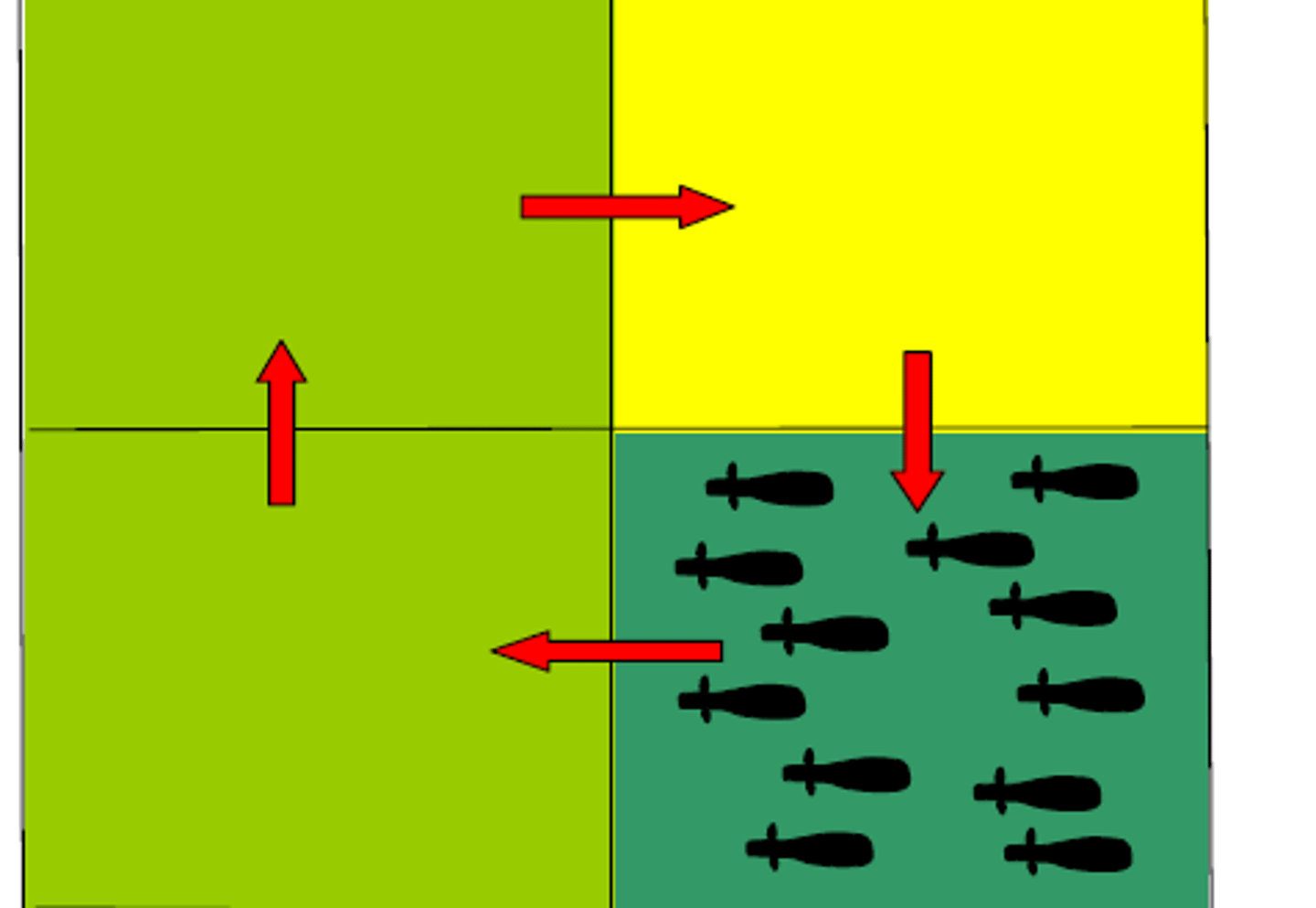 <p>Moving livestock between pastures to reduce overgrazing and improve soil health.</p>