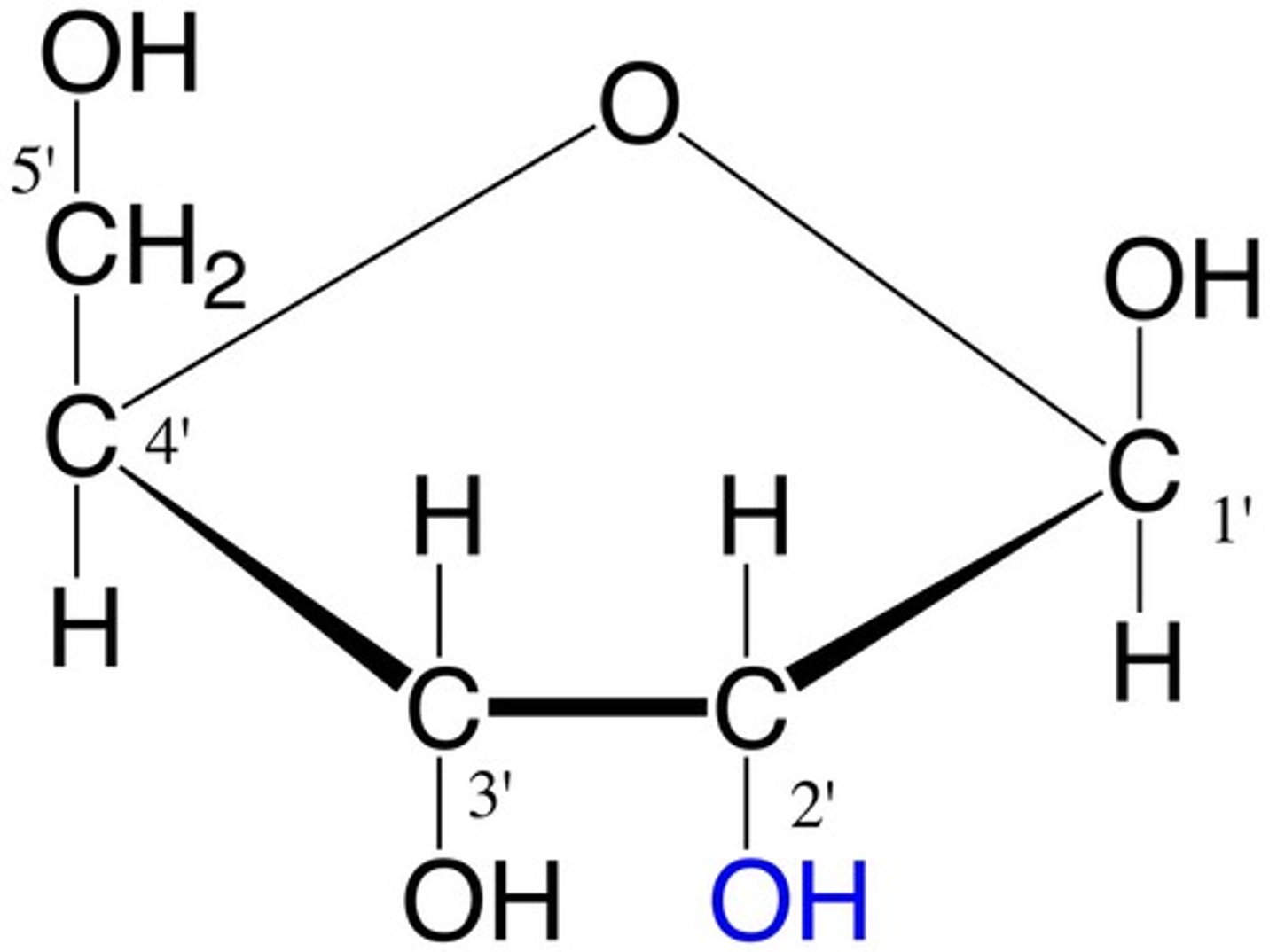 <p>monosaccharide</p>