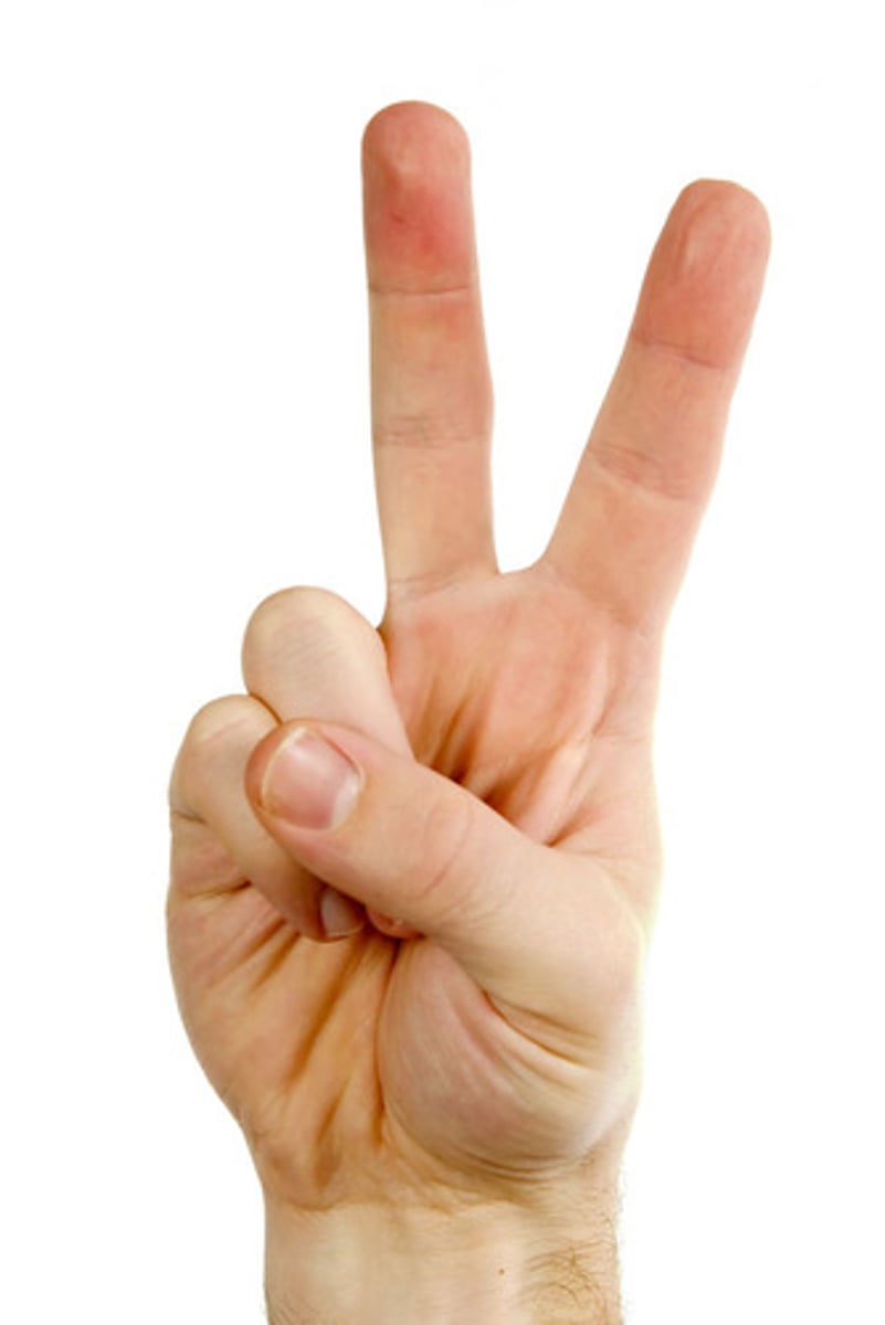 <p>two (èr)</p>