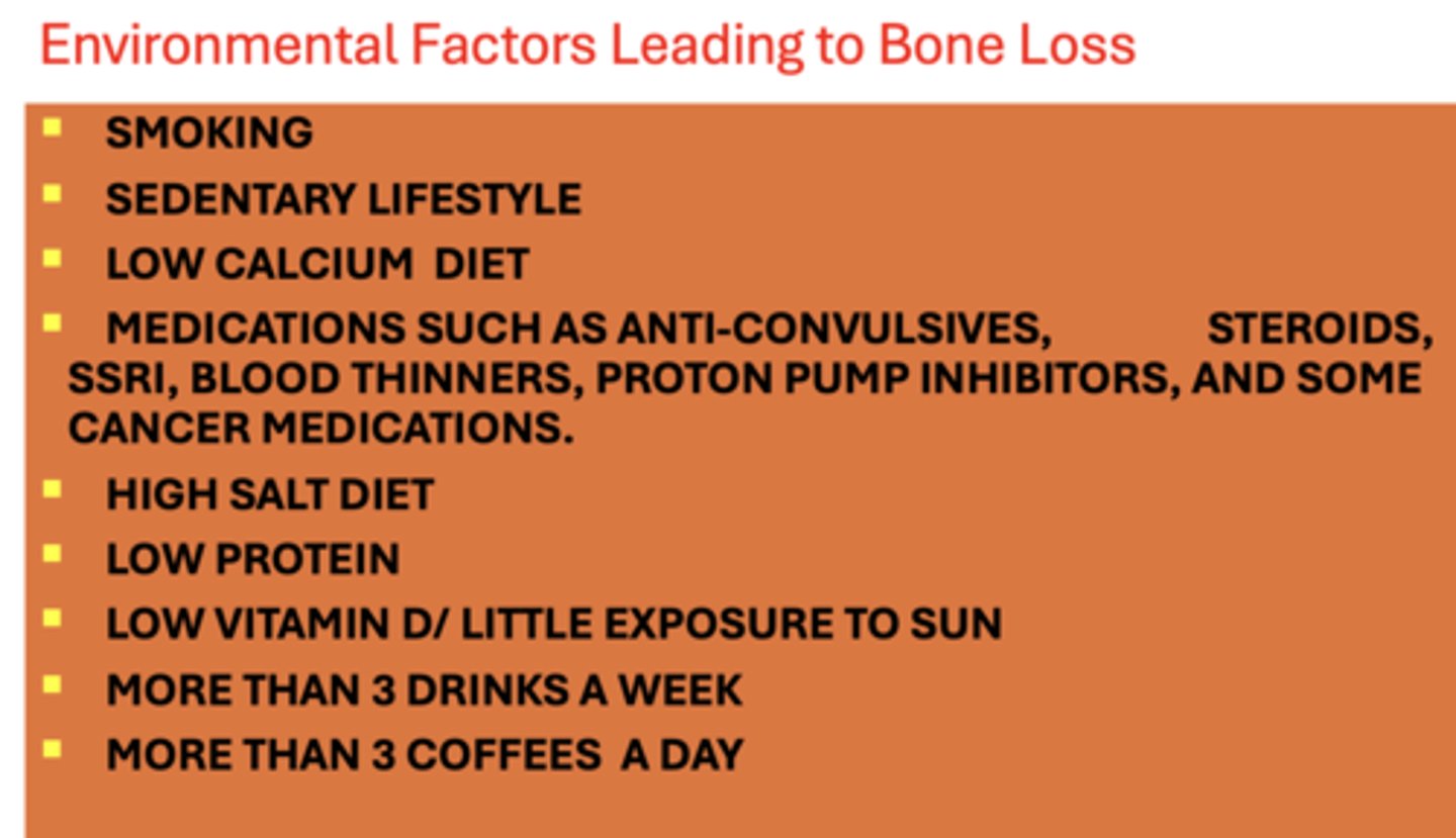 <p>Bone loss</p>