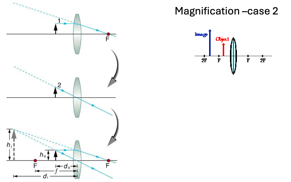 <p>explain magnification case 2 </p>