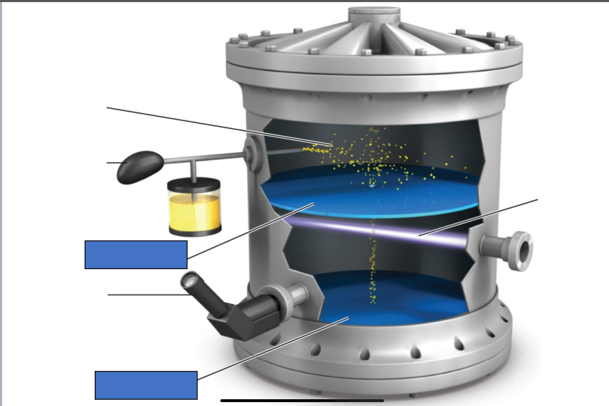 <p>What are the blue boxes labeling?</p>