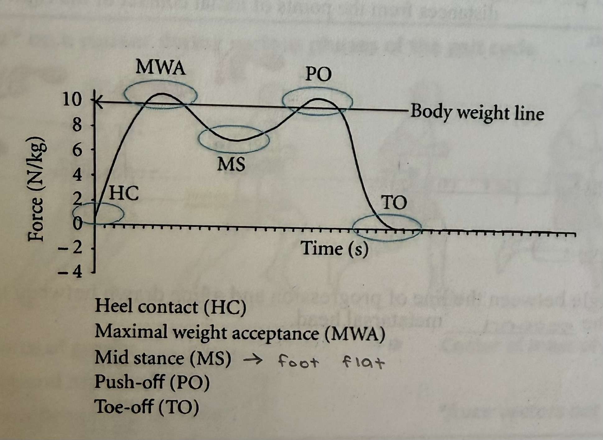 knowt flashcard image