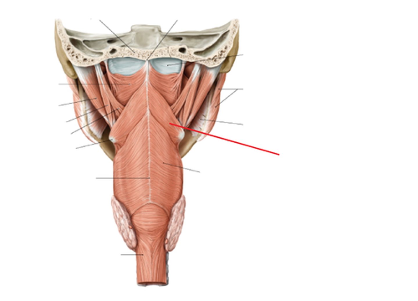 <p><em>identify the structure:</em></p>