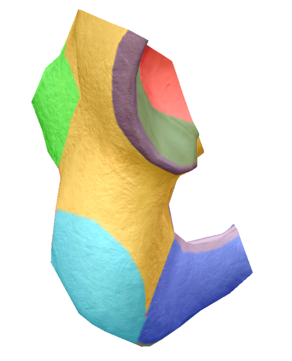 term image