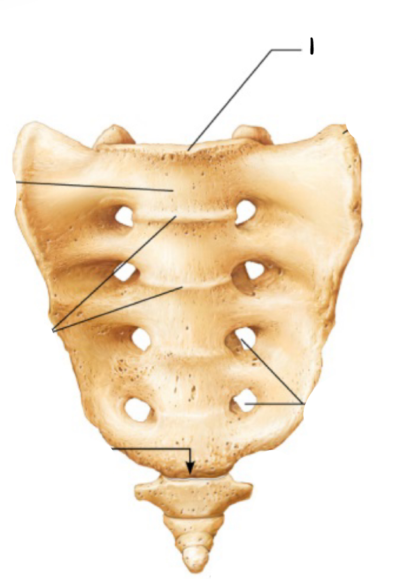<p>1</p>