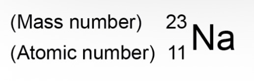 <p>MASS NUMBER</p><p>Total number of protons and neutrons added together. </p><p>ATOMIC NUMBER</p><p>All atoms of a particular element have the same number of protons. This is called its atomic number.</p>