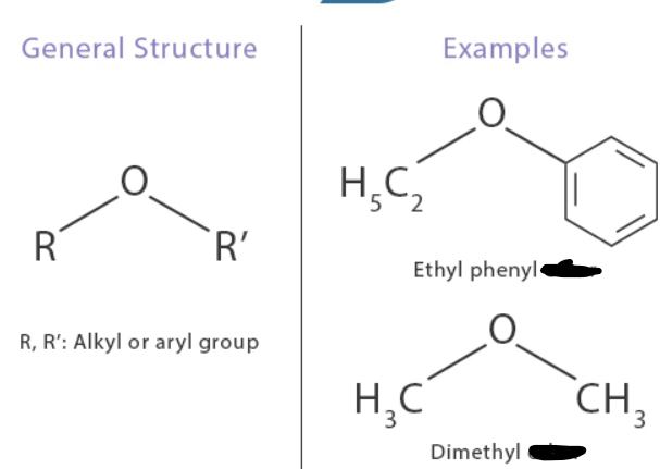 <p>_____ bond: The oxygen atom is single-bonded to two carbon atoms, each part of an organic chain (like an alkyl or aryl group). </p><p>Formula:</p><p>.</p><p>The general formula is R−O−R′, where R and R′ represent these organic groups. </p>