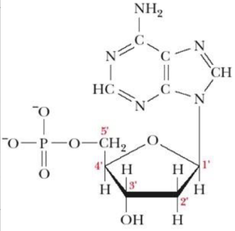 <p>what is this structure?</p>