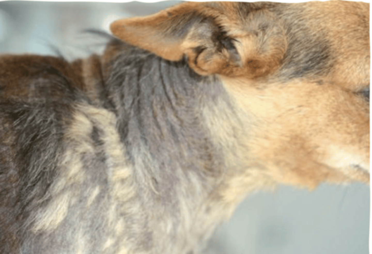 <p>what is this called?</p>