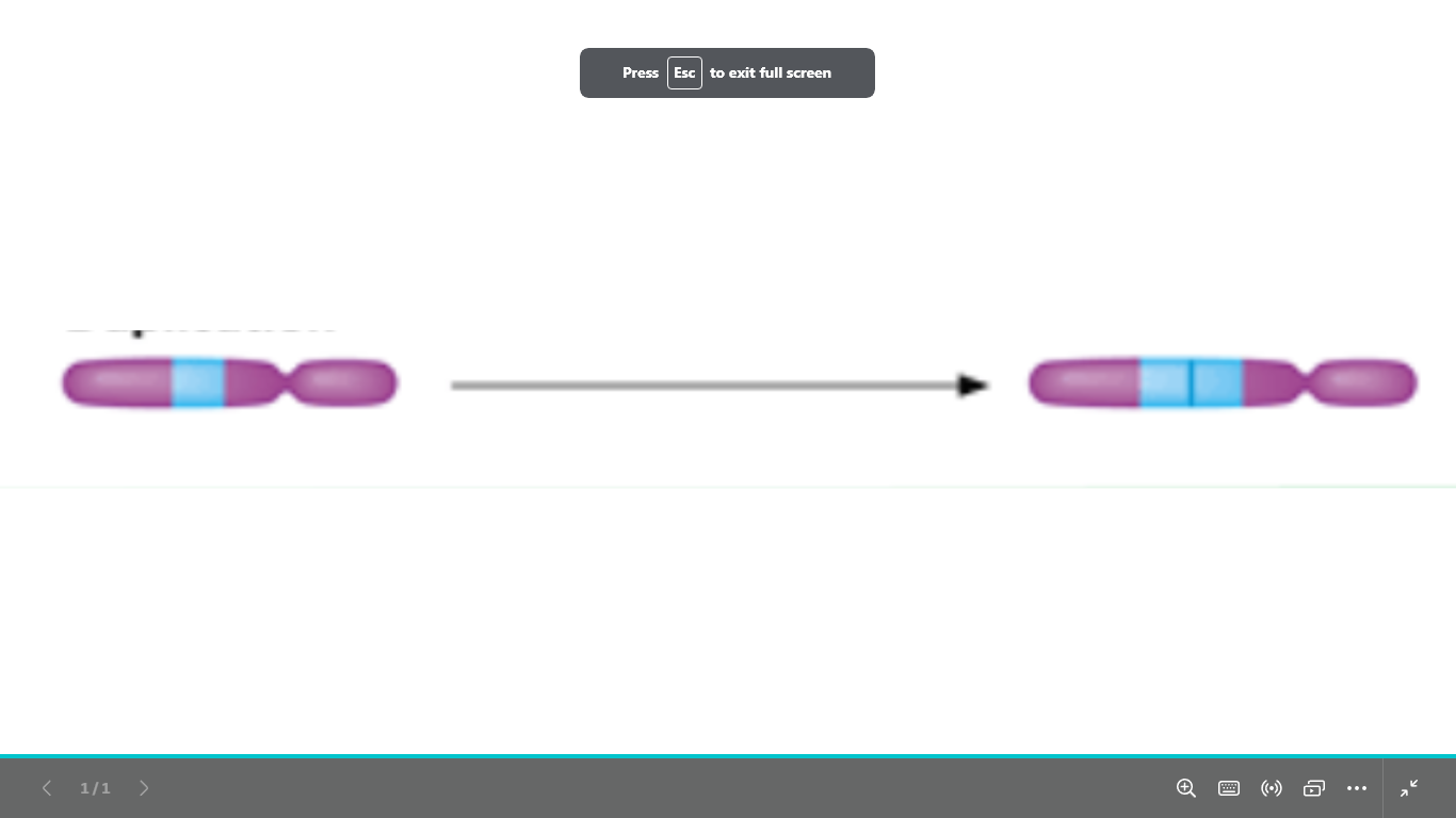 <p>what type of chromosomal abnormality is </p>