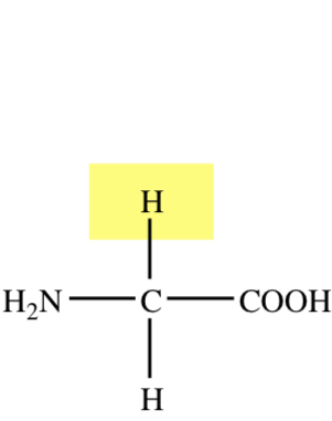 NO CHIRAL CENTER