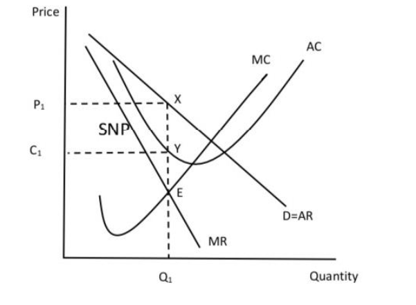<p>SPECS of imperfect competition in the short run</p>