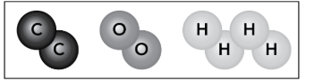 <p>CHO (carbon, hydrogen, oxygen) with a 1:2:1 ratio</p>