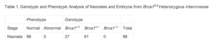 <p>knockdown</p><p>tet off</p><p>tet on</p><p>Some knockouts aren’t viable</p>