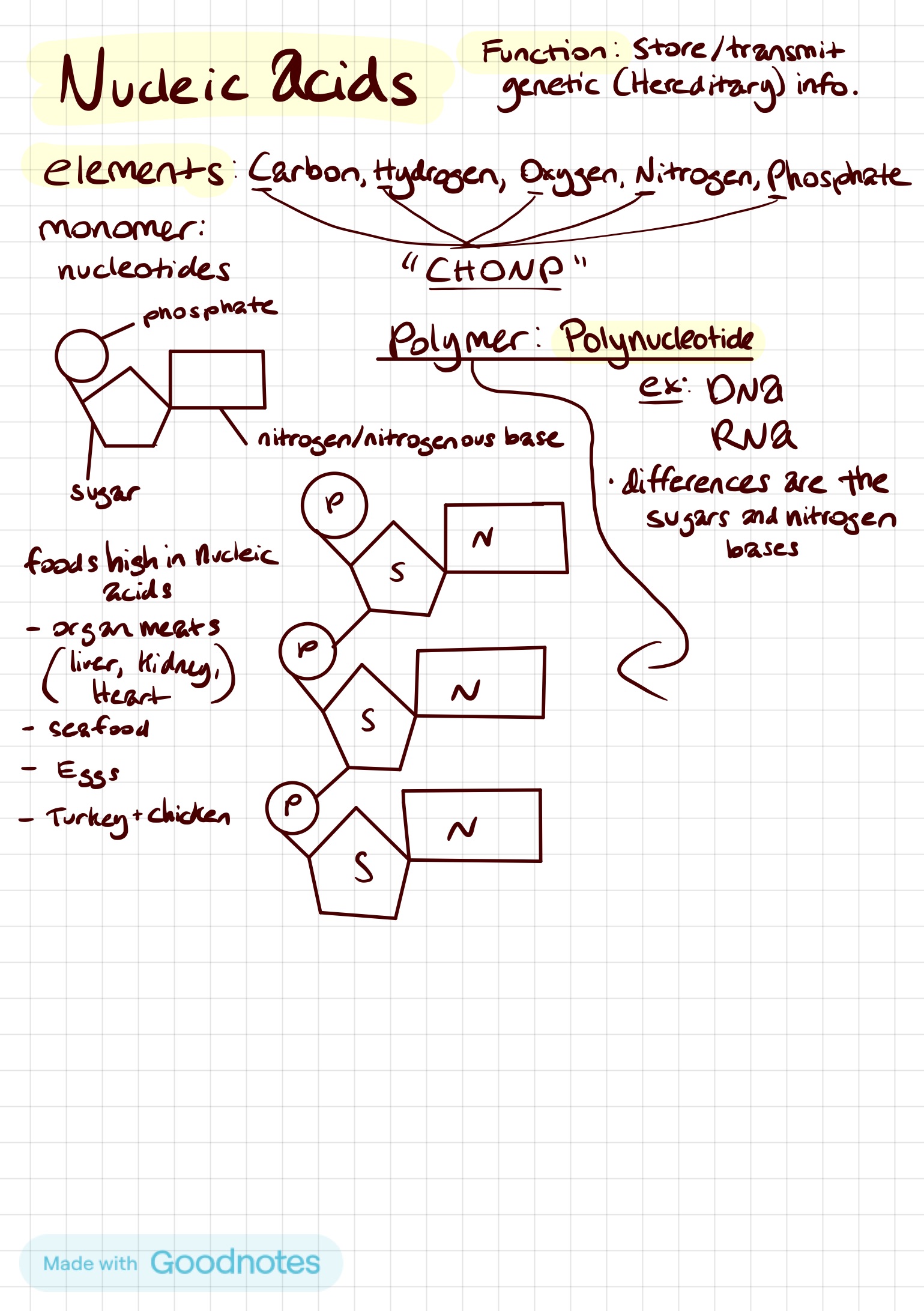 Biology H. Final Exam Study Guide Notes Knowt