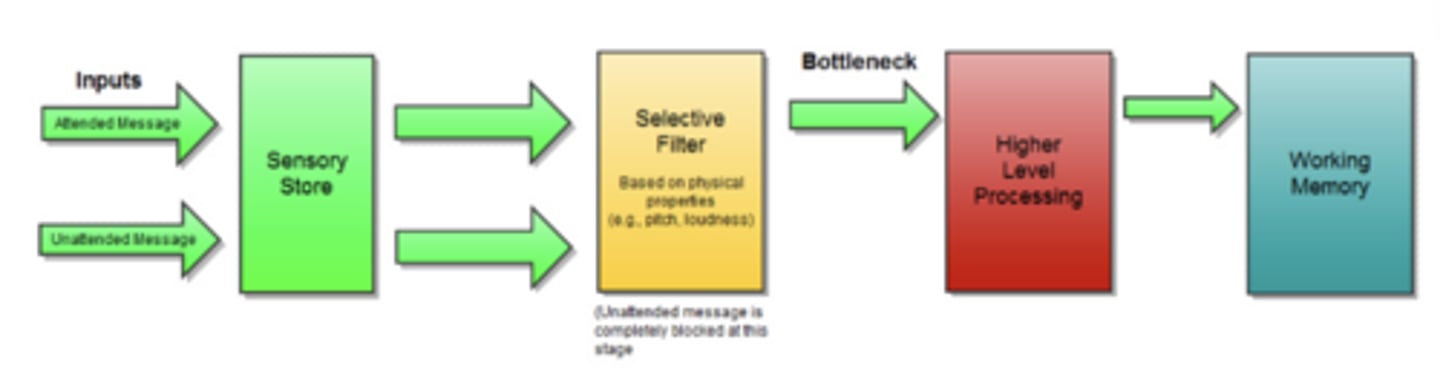 <p>Information is filtered out early based on physical properties, early selection "bottleneck" model</p>