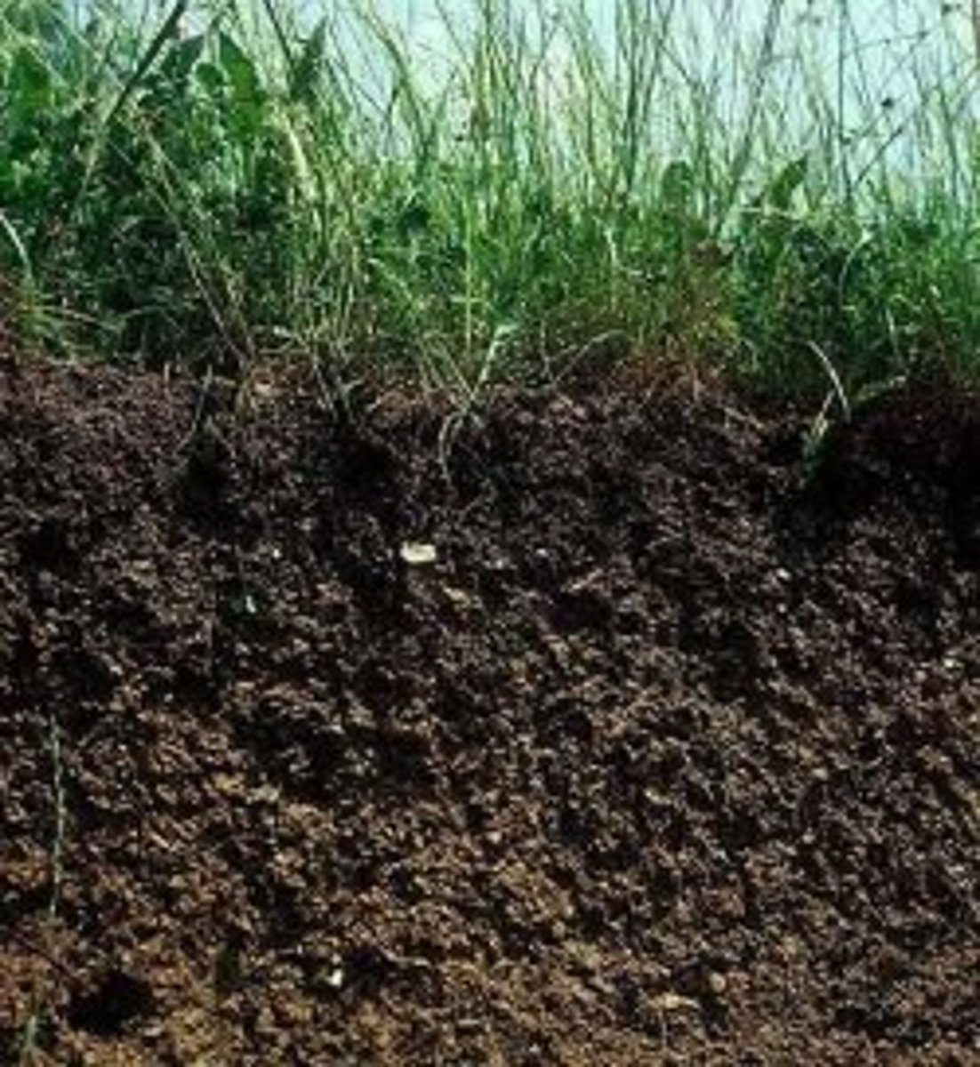 <p>Mixture of humus, clay, and other minerals that forms the crumbly, topmost layer of soil. The A soil horizon is made of topsoil.</p>