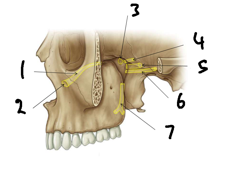 <p>What is 3?</p>